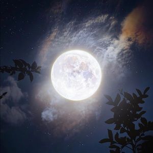 Meet your Posher, Key